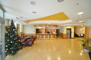 a christmas tree in the lobby of a hospital at Hotel Karpos in Skopje