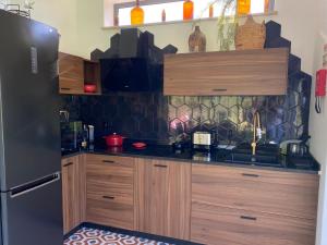 a kitchen with wooden cabinets and a black refrigerator at Monte da Marouca-Mont’Argil in Montargil +21 photos