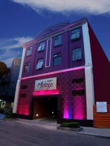 un gran edificio púrpura con un cartel. en Hotel Malaga (Adult Only), en Río de Janeiro