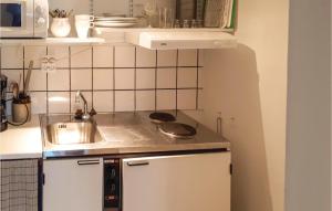 Dapur atau dapur kecil di Gorgeous Home In Simrishamn