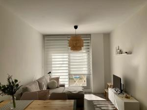 - un salon avec un canapé et une fenêtre dans l'établissement Apartamento centro con parking privado, à Saragosse