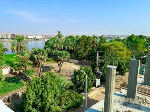 Ghalia Guest House في أسوان: اطلالة على حديقة فيها نخل ونهر