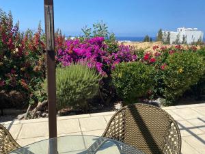 a glass table and chairs in front of flowers at Crystal Bay View Apartment in Kalogrea