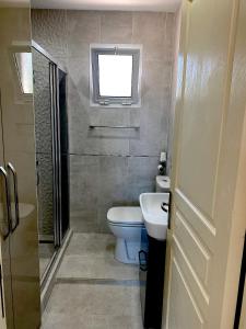 a small bathroom with a toilet and a window at Crystal Bay View Apartment in Kalogrea