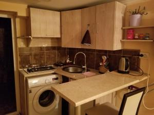 cocina con fregadero y lavadora en Silk House, en Tiflis