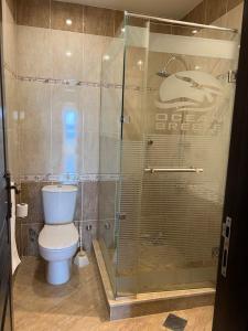 W łazience znajduje się toaleta i przeszklony prysznic. w obiekcie Gravity Joy Apartments Sahl Hasheesh w mieście Hurghada
