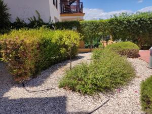 um jardim com alguns arbustos e um edifício em Precioso apartamento con piscina comunitaria privada y patio exterior em Ayamonte