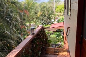 eine Treppe, die auf einen Balkon mit Palmen führt in der Unterkunft Phoenix Garden in Pahoa