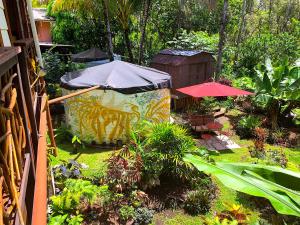 Phoenix Garden في Pahoa: حديقة فيها مظلات ونباتات في ساحة