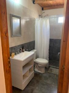 La salle de bains est pourvue d'un lavabo, de toilettes et d'une douche. dans l'établissement Venezia-Monoambiente, à Villa Mercedes