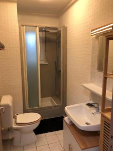 ห้องน้ำของ Cosy-Adventure : Haguenau