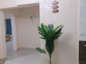 Kép Midtown Cairo Studios & Apartments szállásáról Kairóban a galériában