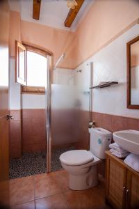 a bathroom with a toilet and a shower and a sink at Colonia Apartamento Rural in Bellmunt de Ciurana