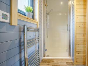 a bathroom with a shower and a blue wall at Barcud- UK37574 in Llanboidy