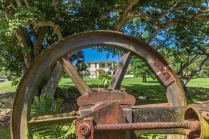 a close up of a large metal wheel in front of a tree at Habitation du Comté in Sainte-Rose