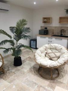 a living room with a white chair and a palm tree at BellaVilla 309 in Sarrians