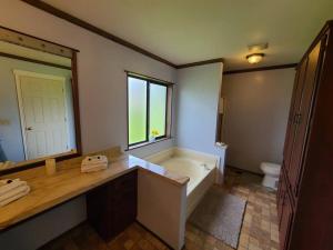 uma casa de banho com uma banheira, um lavatório e um WC. em Wood Haven em Forks
