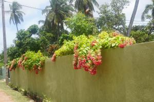 a green fence with flowers on top of it at Villa Roma - Negombo in Negombo