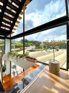 a large window with a potted tree sitting on a table at Bảo Châu Villa & Coffee Đà Lạt in Da Lat