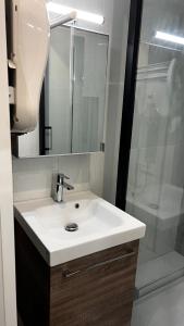 ein Badezimmer mit einem weißen Waschbecken und einer Dusche in der Unterkunft Embrun - Appartement 4/6 personnes avec extérieurs in Embrun