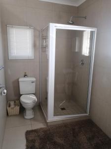 a bathroom with a shower and a toilet at Sterrenhemel Guest Farm in Upington