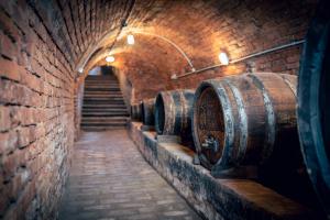 Mynd úr myndasafni af Winzerhof Küssler - Weinviertel í Stillfried