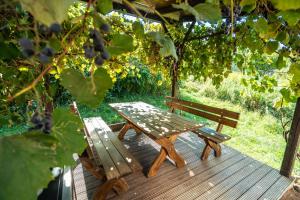 Garður fyrir utan Winzerhof Küssler - Weinviertel