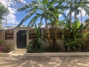a fence with palm trees in front of a house at Les Cazes Hermitage 4-Proche Lagon in L'Ermitage-Les-Bains