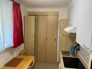 una pequeña cocina con fregadero y encimera en AJO Vienna Atos with free parking, en Viena