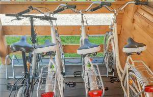 Fitness centrum a/nebo fitness zařízení v ubytování Gorgeous Home In Rowy With Wifi