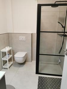 a bathroom with a toilet and a glass shower at Renovierte Ferienwohnung in Nienburg Erichshagen in Erichshagen