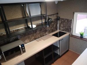a kitchen with a counter top and a microwave at Pokoje Gościnne Nad Jeziorem in Tychy