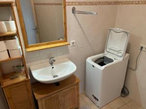 ein Badezimmer mit einem Waschbecken und einer Waschmaschine in der Unterkunft Bennstedt 1 in Salzatal