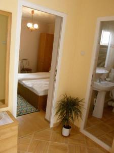 1 dormitorio con cama, lavabo y espejo en CASA DIDINA fosta Pensiune Casa Didina, en Bacău