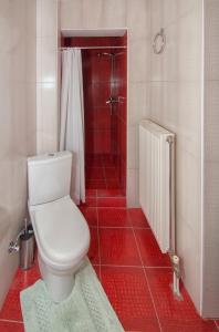 a bathroom with a toilet and a shower with red tiles at Anna's House in Kastoria