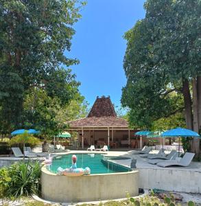 uma piscina num resort com cadeiras e guarda-sóis em Maleo Moyo Hotel & Dive Resort em Moyo Island