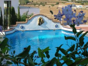 a polar bear is in a water slide at Rural Vega de Cazalla in Cazalla de la Sierra