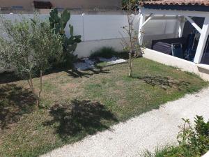 un giardino con due alberi nell'erba di Adorable Romantique Maison d'hôte, piscine, wifi 4G, proche BEZIERS a Cers