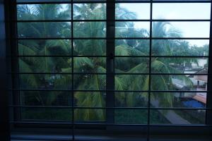 a window with a view of a palm tree at Atmos Inn in Kozhikode