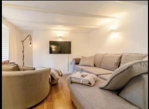 a living room with a couch and a tv at Charming 2-Bed Cottage in Wadebridge Cornwall in Wadebridge