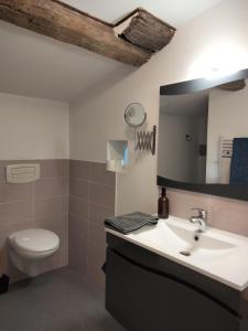 a bathroom with a sink and a toilet and a mirror at Chambre d'hôtes La terrasse de Sabatas in Chomérac
