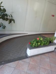 Fotografia z galérie ubytovania Residenza Scikkettosa v destinácii Cecina