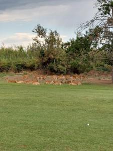 Fotografia z galérie ubytovania La Foresteria del Golf v destinácii Isola Albarella