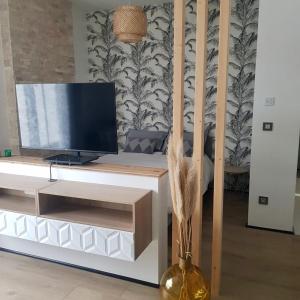 a living room with a tv on a white entertainment center at Studio calme-équipements haut de gamme in Sarreguemines