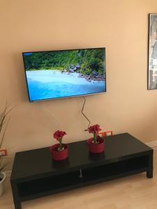 a television hanging on a wall with two plants on a table at Edelweiss29 in Aosta