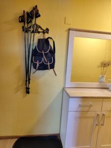 a mirror and a bag and a camera on a wall at Ferienwohnung Späth in Ramsthal