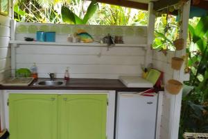 kuchnia z zielonymi drzwiami i umywalką w obiekcie Mariposa w mieście Sainte-Rose