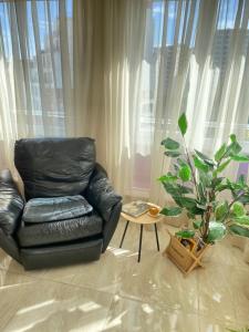 czarne skórzane krzesło w salonie z rośliną w obiekcie Molly's Suite w mieście Sofia