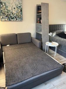 a couch in a room with a bed and a table at Alice Apartment Wackernheim in Ingelheim am Rhein