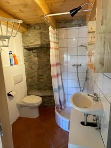 ein Bad mit einem WC und einem Waschbecken in der Unterkunft Rustico a Roveredo GR in Roveredo